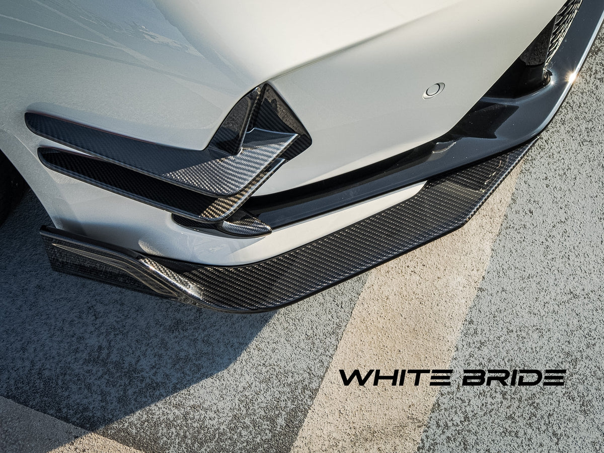 WHITE BRIDE ドライカーボン フロントバンパーカナード ガーニッシュ ホンダ シビック TYPE R (FL5)