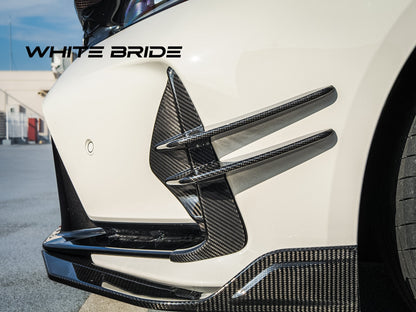 WHITE BRIDE ドライカーボン フロントバンパーカナード ガーニッシュ ホンダ シビック TYPE R (FL5)
