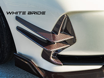 WHITE BRIDE ドライカーボン フロントバンパーカナード ガーニッシュ ホンダ シビック TYPE R (FL5)